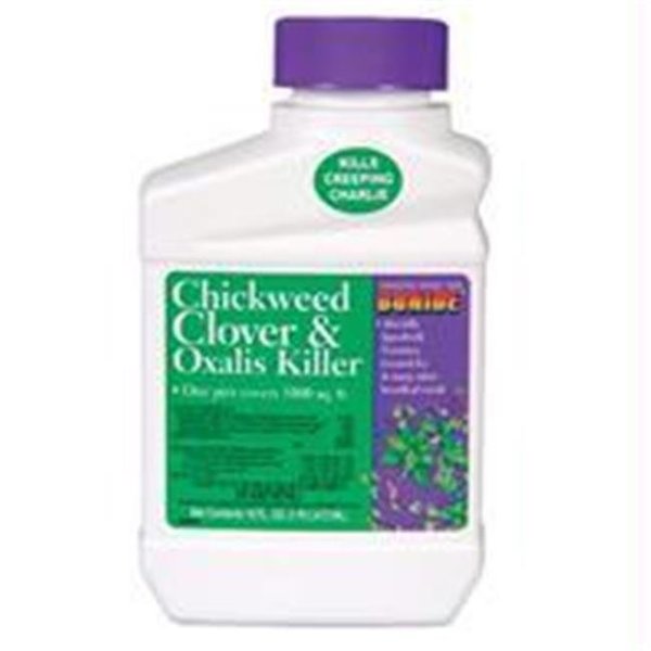 Gan Eden P-Chickweed Clover Oxalis Killer Concentrate 1 Pint GA43915